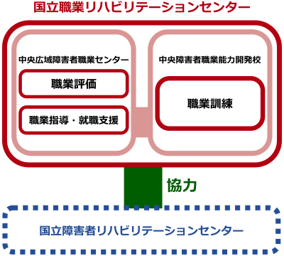 国立職業リハビリテーションサービスの実施機関説明図：「中央広域障害者職業センター」では職業評価と職業指導・就職支援といった役割を受け持ち、「中央障害者職業能力開発校」は職業訓練を担当しています。